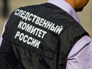 Председателю СК России будет представлен доклад о ходе процессуальной проверки по факту возможных противоправных действий в отношении ребенка в Ставропольском крае